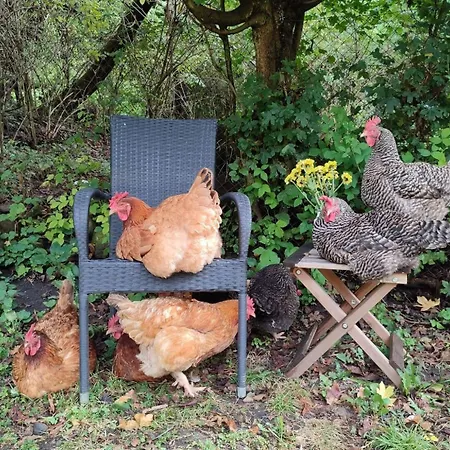 Luxusný stan Rent-a-fairytale Tent 