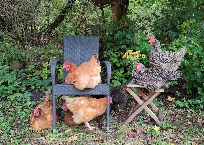 Luxussátor Rent-a-fairytale Tent 